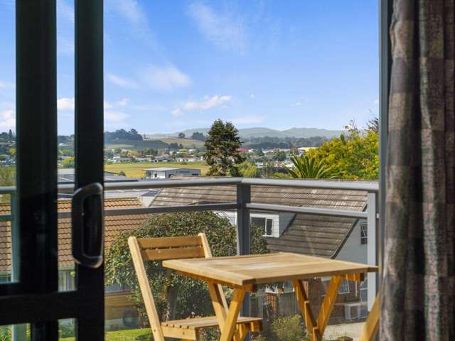 363 Taylor Avenue Te Awamutu_2