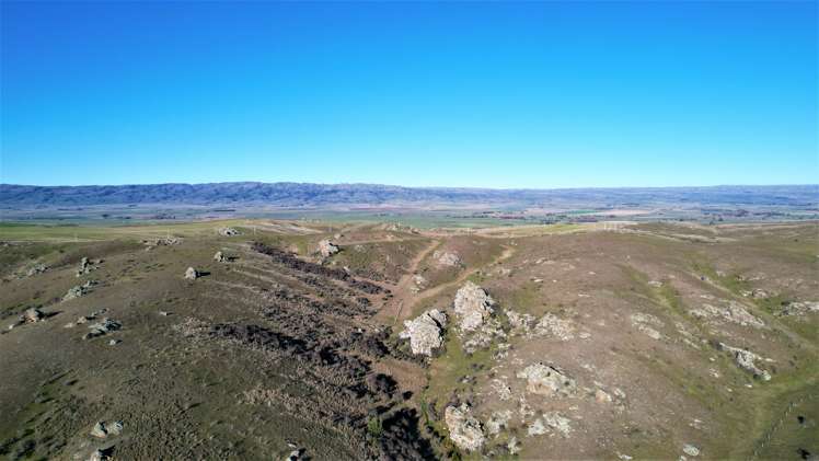 Mcintosh Road Ophir_5