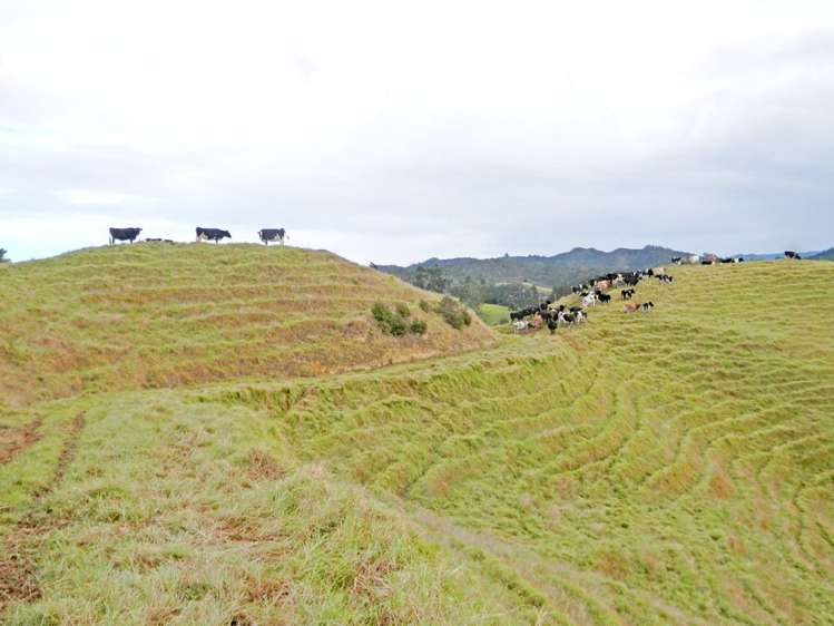 698 Whananaki South Road Whananaki_15