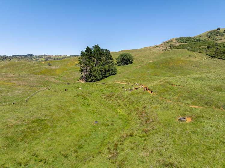 356 Klondyke Road Onewhero_7
