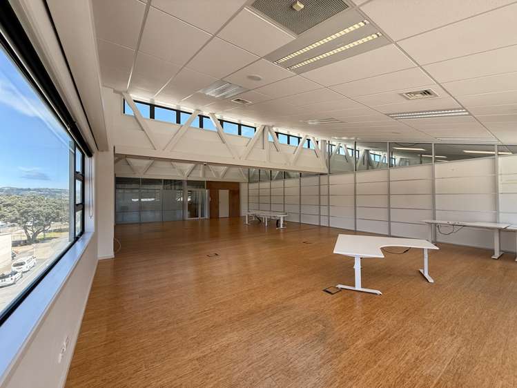 129 Park Road Miramar_6