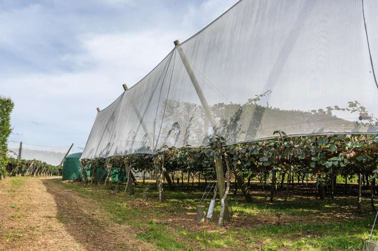 865B Oropi Road Oropi_14