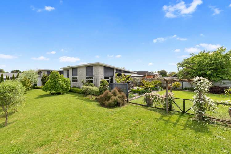 17 Allendale Place Morrinsville_0
