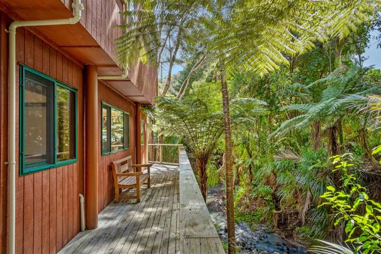 74 Grassmere Road Henderson Valley_9