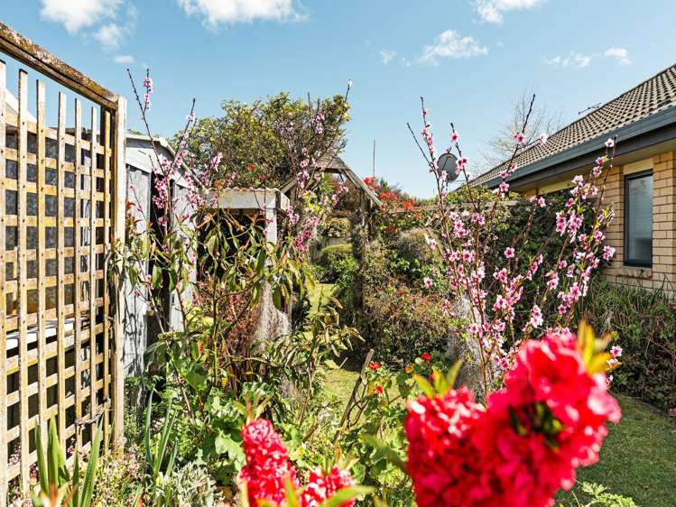 2 Luculia Drive Mt Maunganui_21