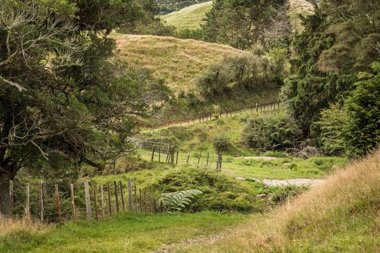 54 Thorn Road Waihi_34