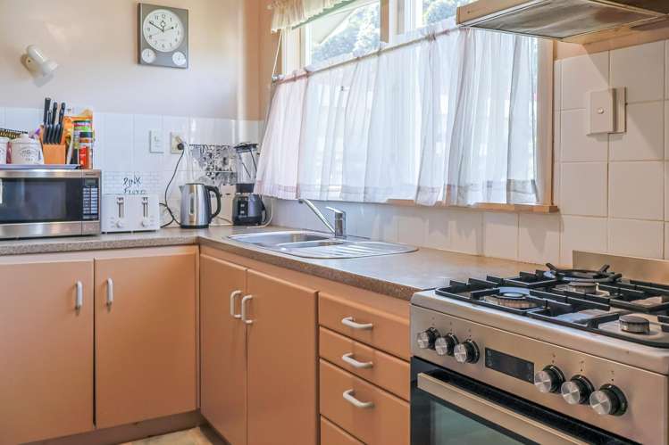 101 Fergusson Drive Thames_12