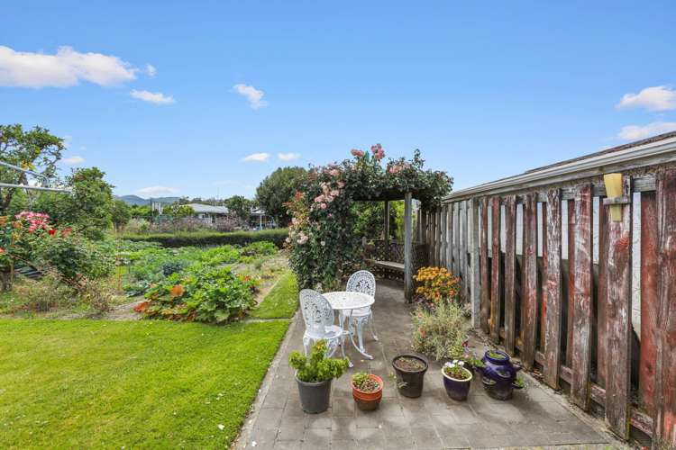 15 March Street Spring Creek_17