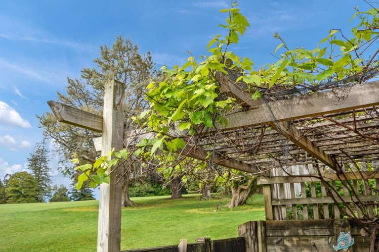 34 Lochiel Place Te Kamo_7