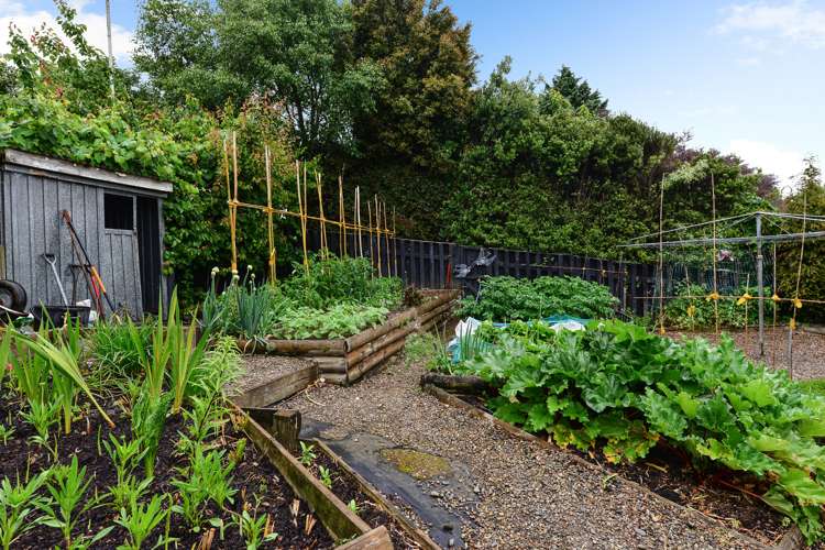 92 Poaka Avenue Dinsdale_19