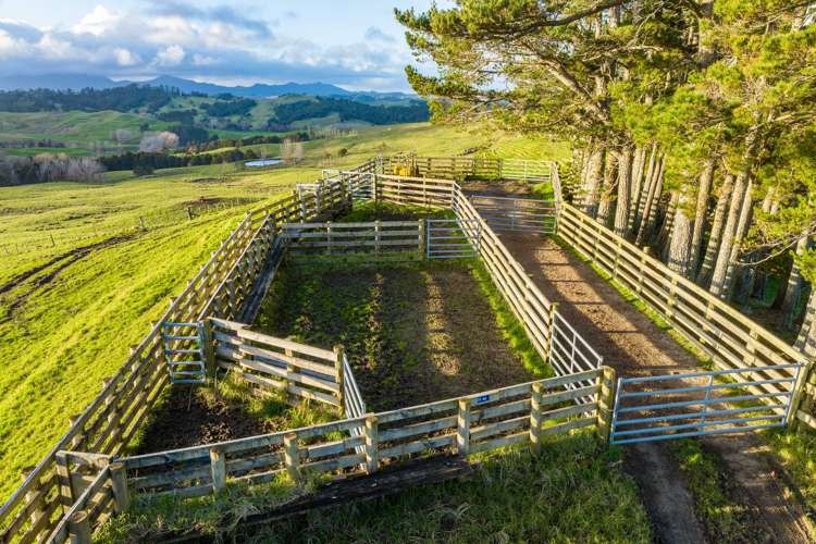 85 Lusk Road Ruawai_7