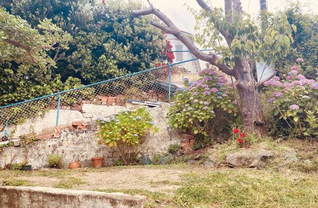 16 Kenwyn Terrace Newtown_1