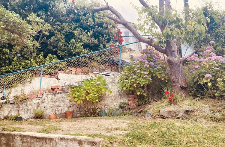 16 Kenwyn Terrace Newtown_1