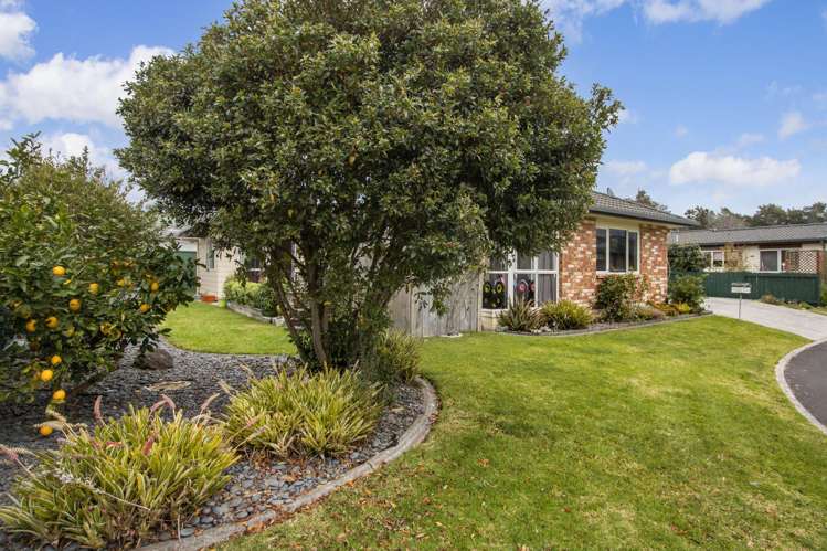 11 Donegal Place Katikati_10