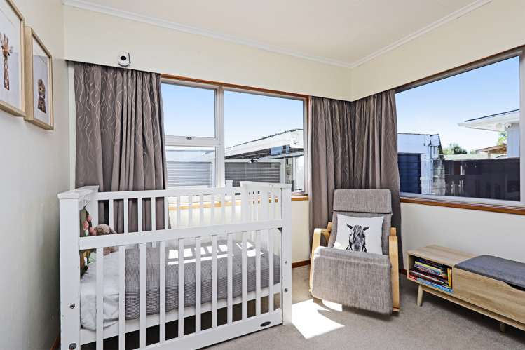 20 Southwark Avenue Tamatea_16