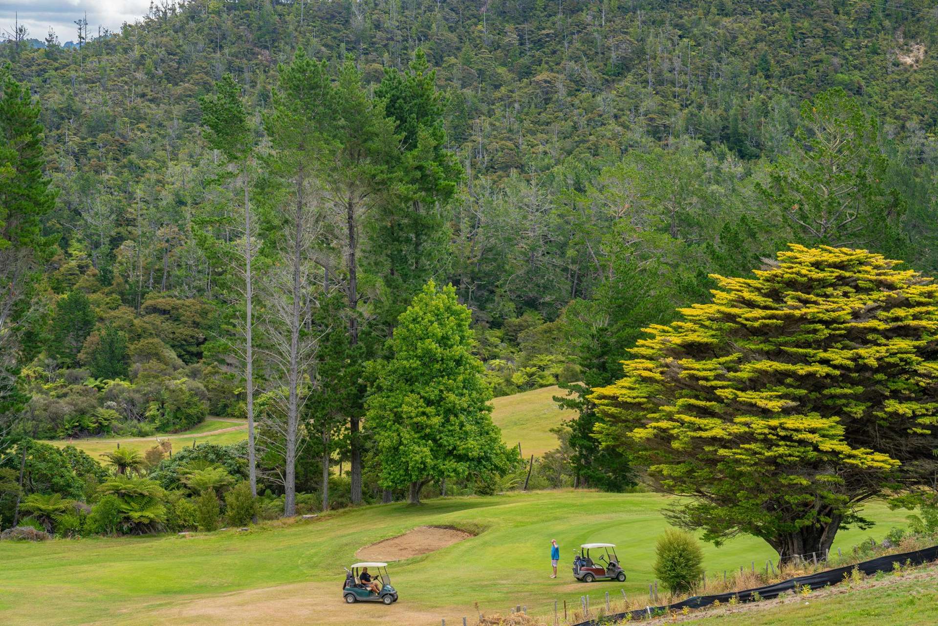 49 Azimuth Road Tairua_0