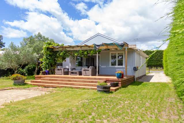 59 Princess Street Martinborough_1