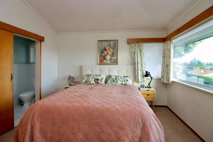 290 Douglas Avenue Te Awamutu_7