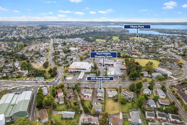 175 Royal Road Massey_13