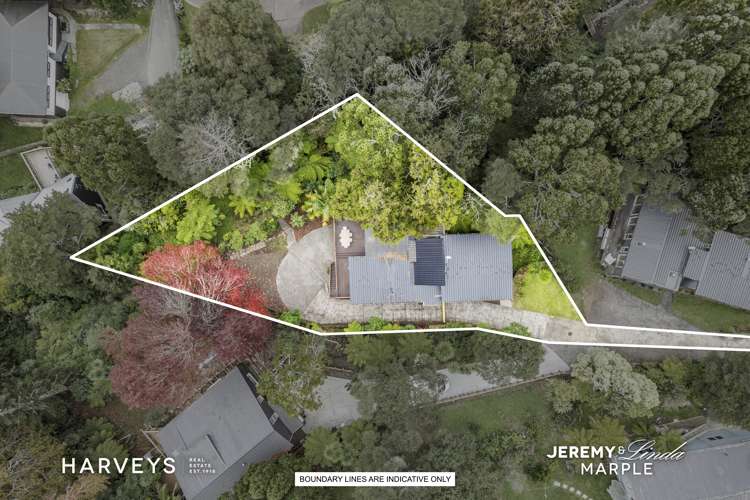 47 Daffodil Street Titirangi Waitakere City Houses for Sale One