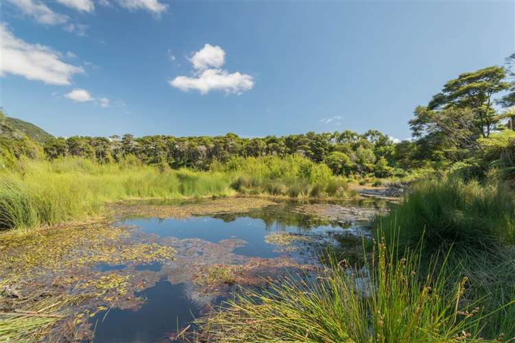 29 Awaroa Inlet Awaroa Bay_14