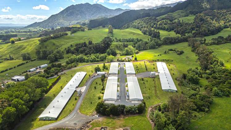 Address withheld Waikato_22