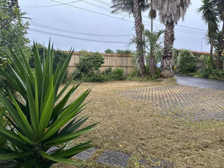 219 Mt Albert Road Sandringham_8