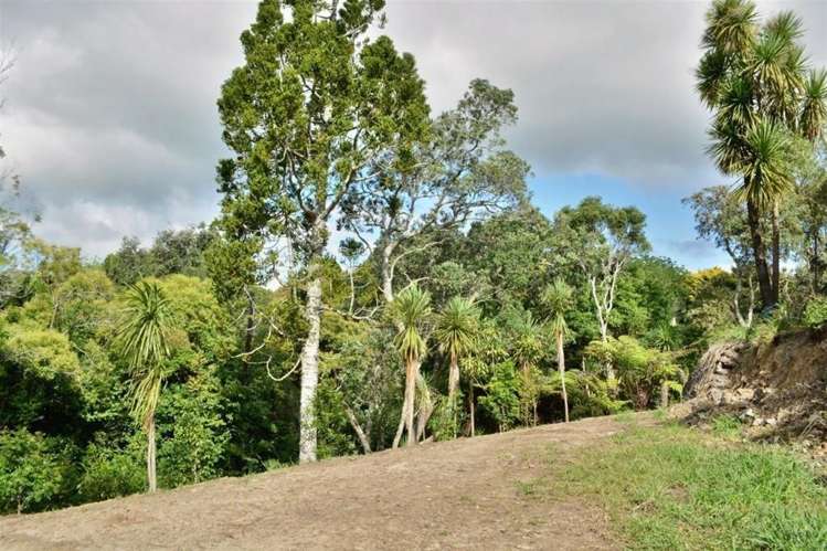 56 Pah Road Cockle Bay_6