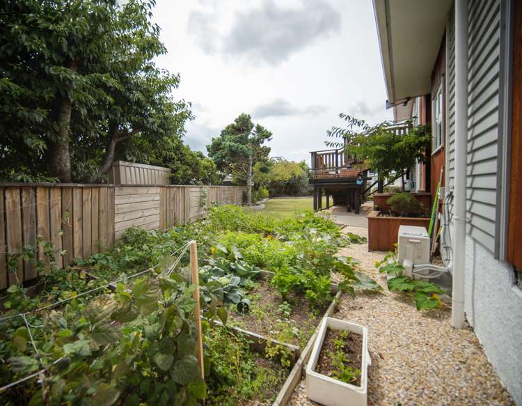 117 Songer Street Stoke_4