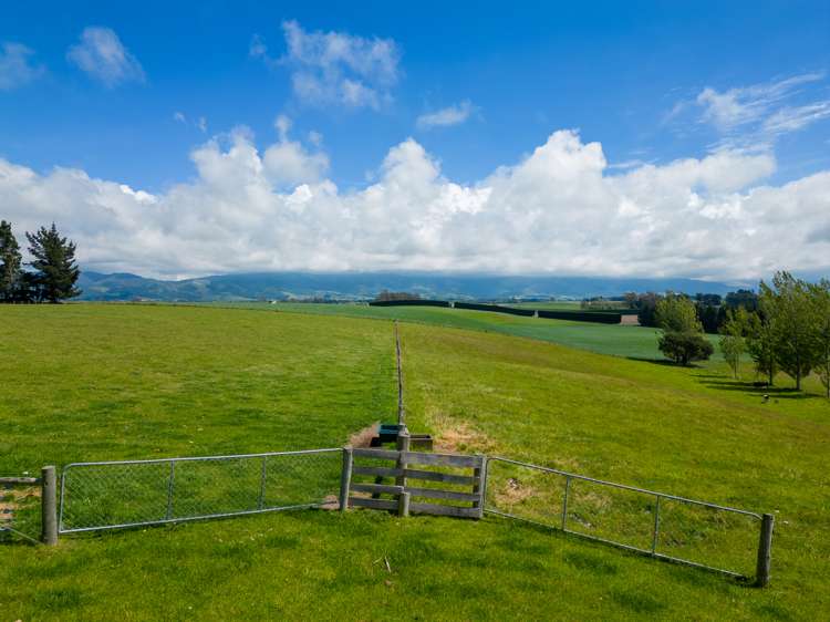 277 Hook School Road Makikihi_29