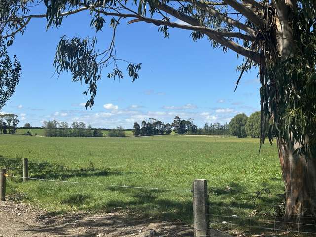 373 Camp Hill Road Rongahere_2