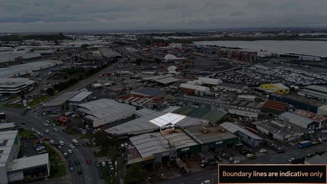 4/319 Neilson Street Onehunga_3