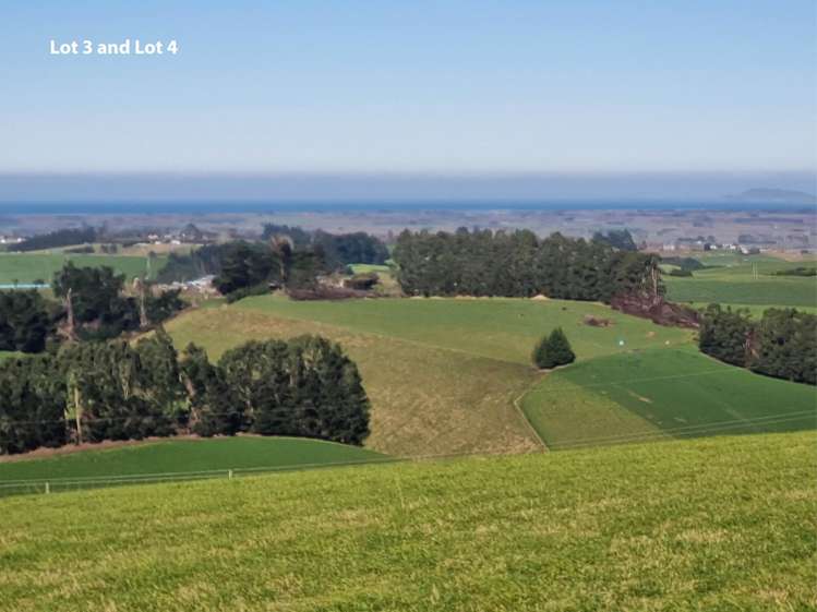 Cameron Road, Hillend Balclutha_10