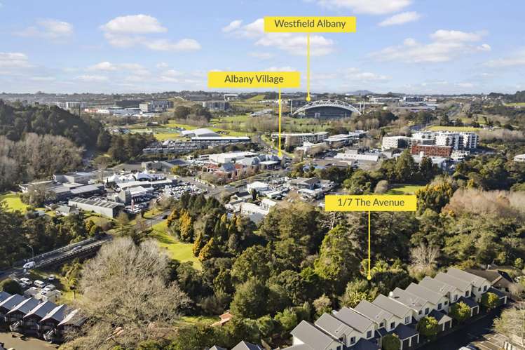 1/7 The Avenue Albany_15