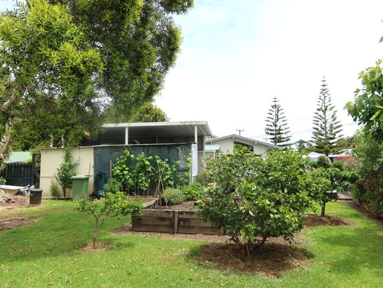 52 Logan Street Dargaville_22