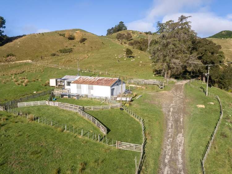 2010 Te Wharau Road_2