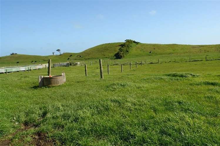 32 Hadfield Street Patea_13