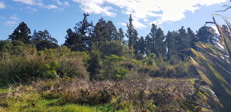 15 Nyhon Place Haast_5