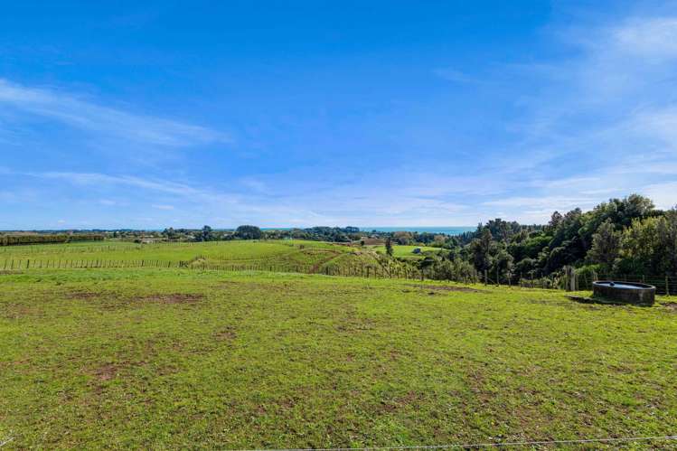 51 Wilson Road Urenui_29