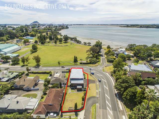 22 Eleventh Avenue Tauranga Central_1