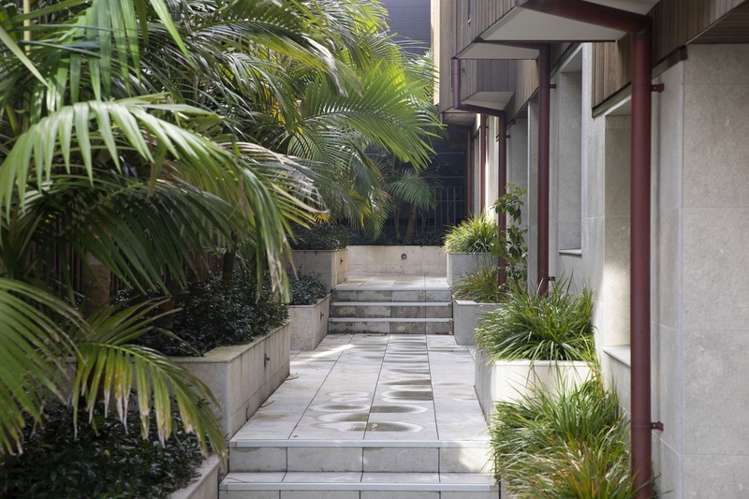 12/6 Waima Street Grey Lynn_14