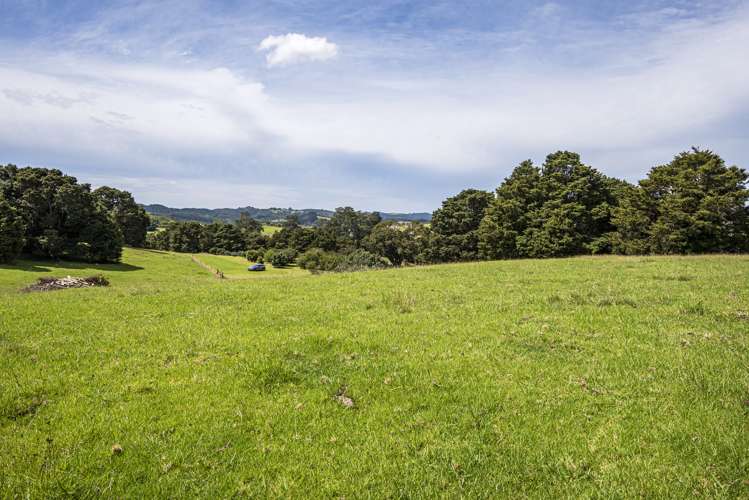 704a Ngunguru Road Glenbervie_14