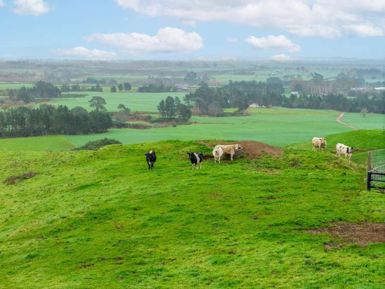 166b Te Tuhi Road Okauia_26