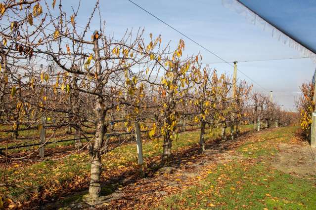 Smiths Way Mount Pisa_3