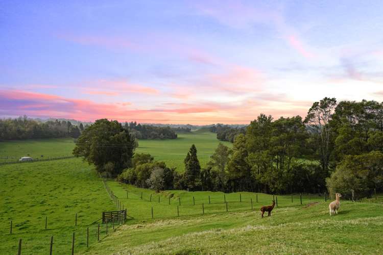 387 Tauranga Direct Road Hamurana_1