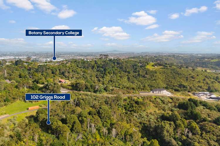 102 Griggs Road East Tamaki Heights_9