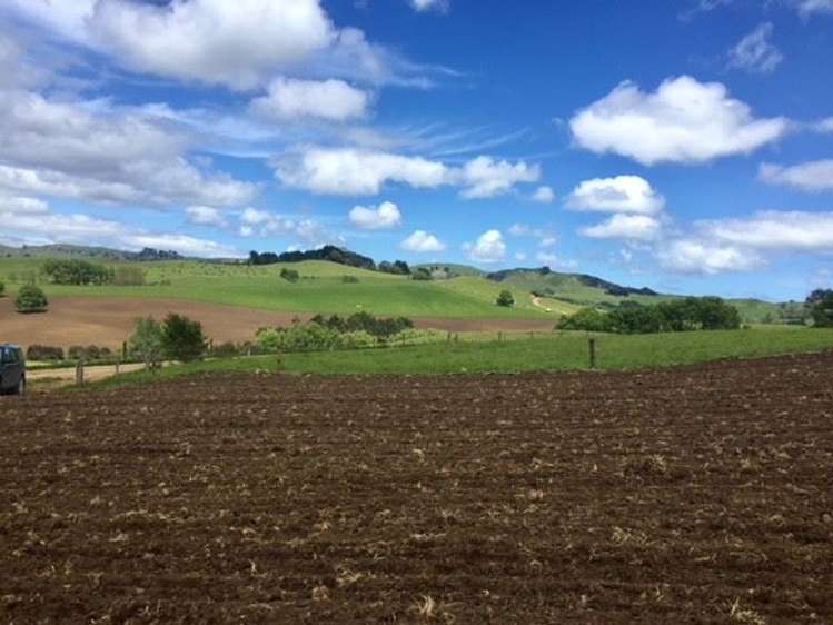 272 Broughton Road Ruawaro_35