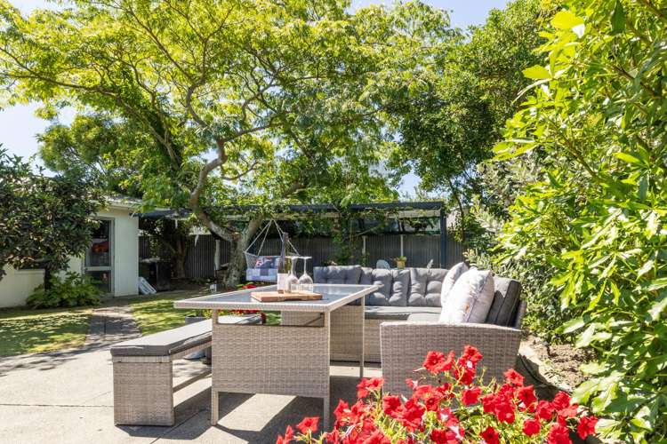 26 Salisbury Avenue Tamatea_5