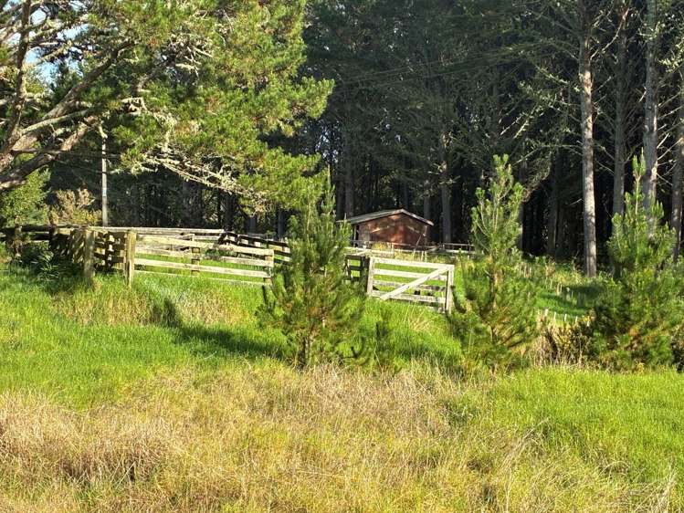 Milne Road Purua_11