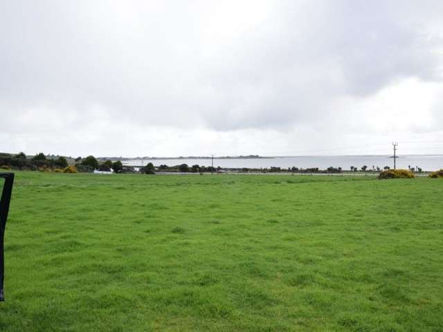 2401 Bluff Highway Bluff_2